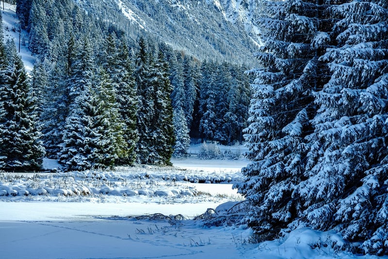 Narnia